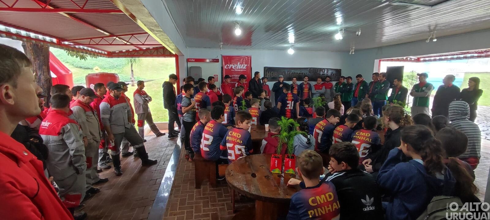 Creluz celebra o Dia do Cooperativismo com plantio de pinheiros no Horto Florestal