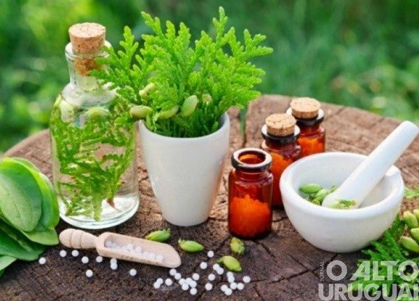 Inscrições para Reunião sobre Plantas Bioativas terminam na sexta-feira