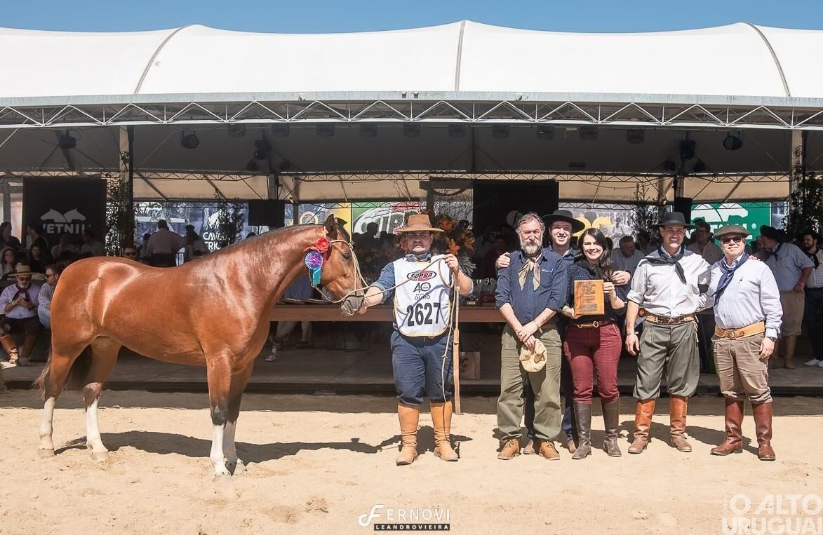 FW: potranca da Cabanha Pátria Xucra é finalista na Expointer
