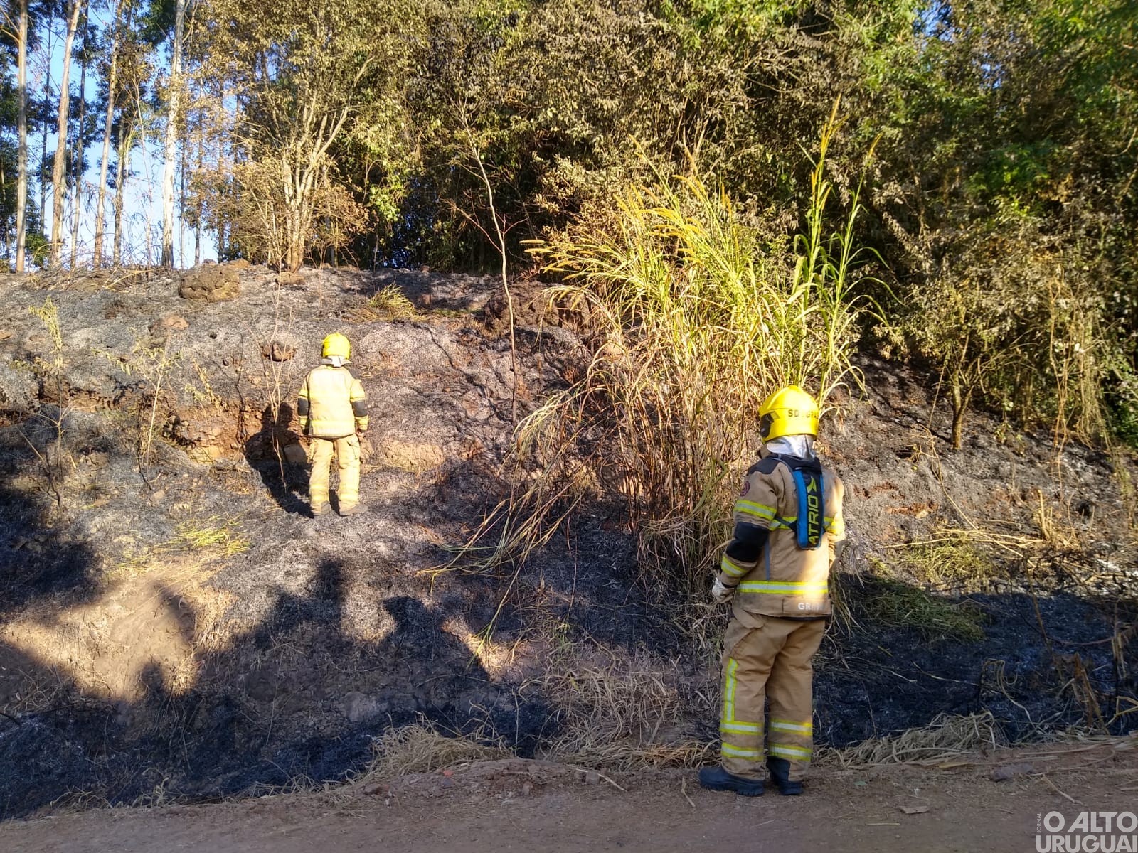 Bombeiros de FW são acionados para controlar incêndio em vegetação