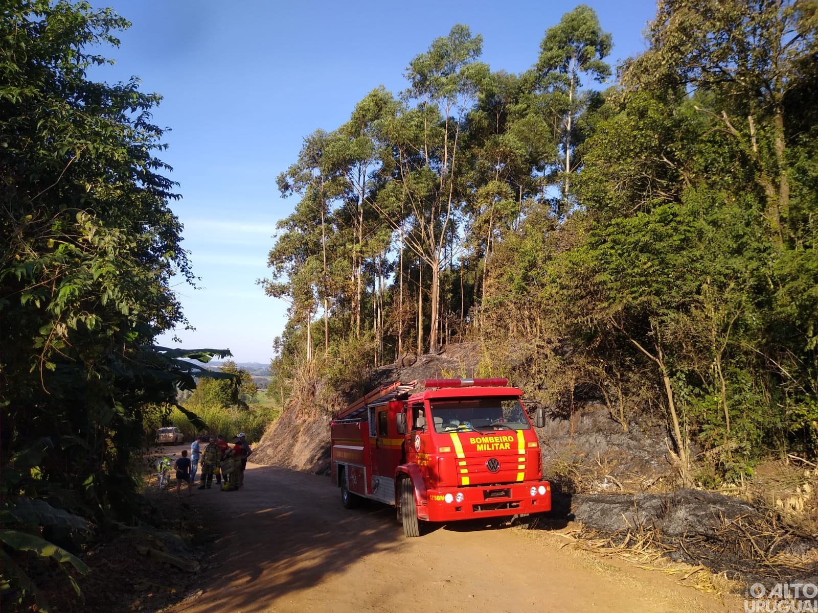 Bombeiros de FW são acionados para controlar incêndio em vegetação