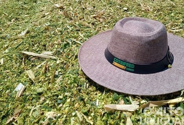 Pecuaristas trabalham na produção de silagem para rebanhos leiteiros