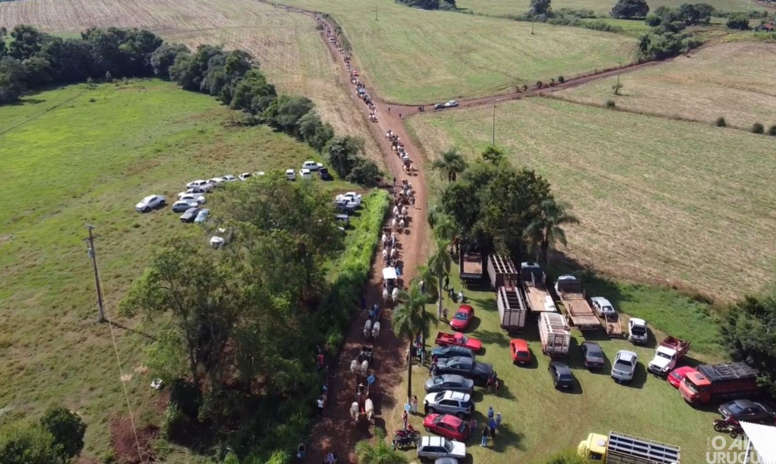 Cerca de 80 carroças participam da Carreata da Amizade na linha Conceição