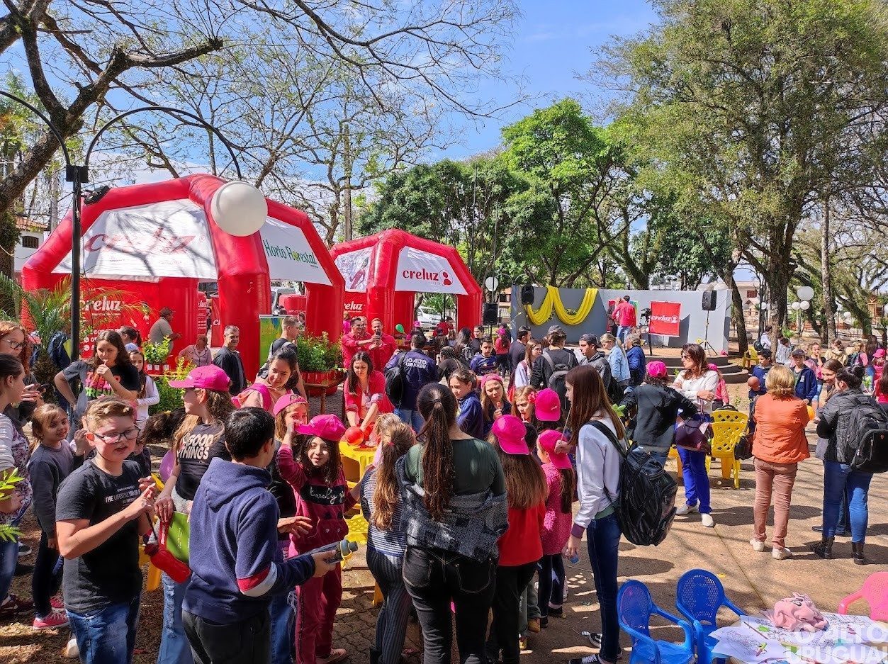 Dia da Árvore é comemorado com atividade especial em Rodeio Bonito