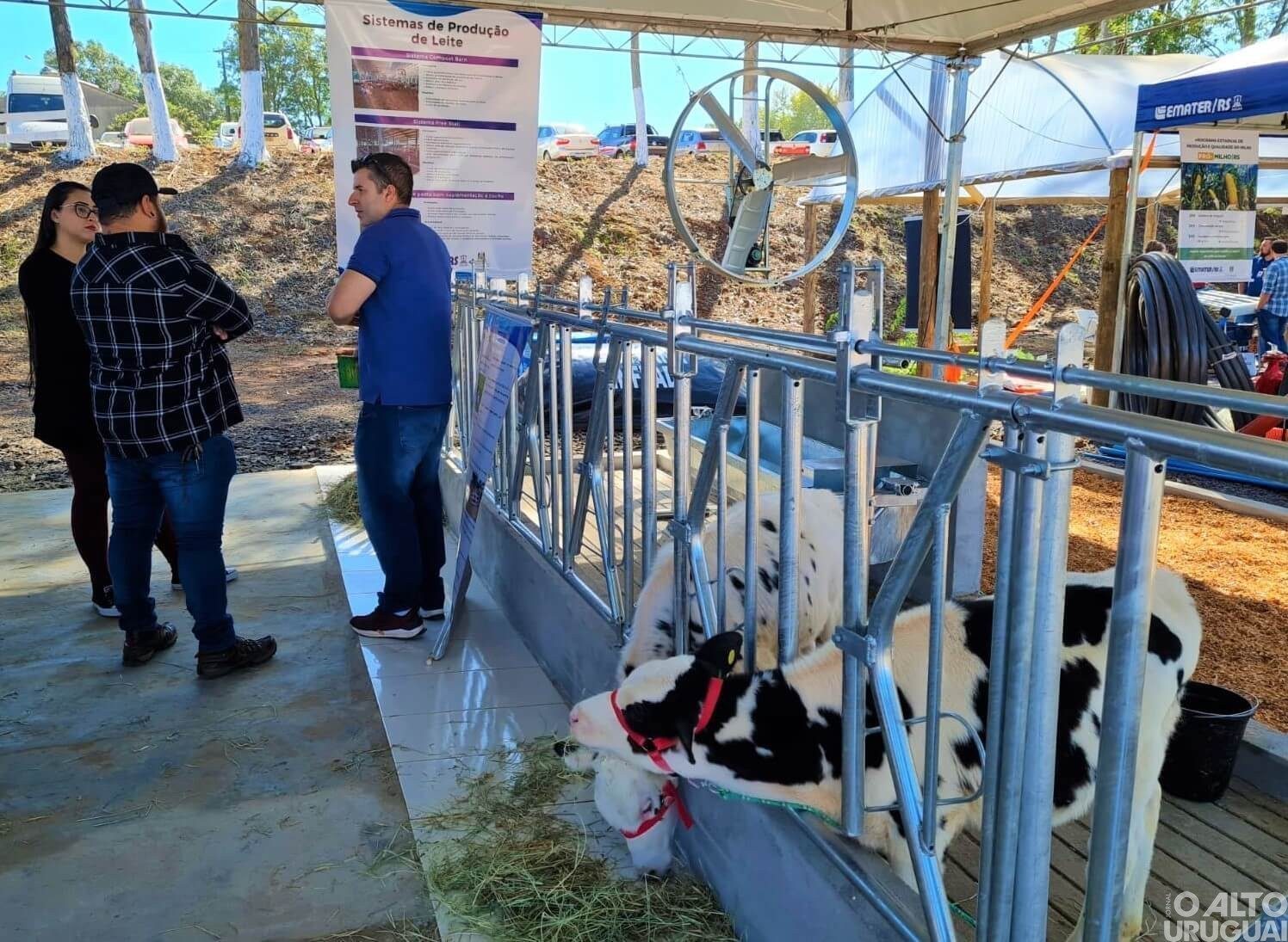 Sistemas de produção de leite confinados e a pasto são destaque no espaço da Emater/RS-Ascar