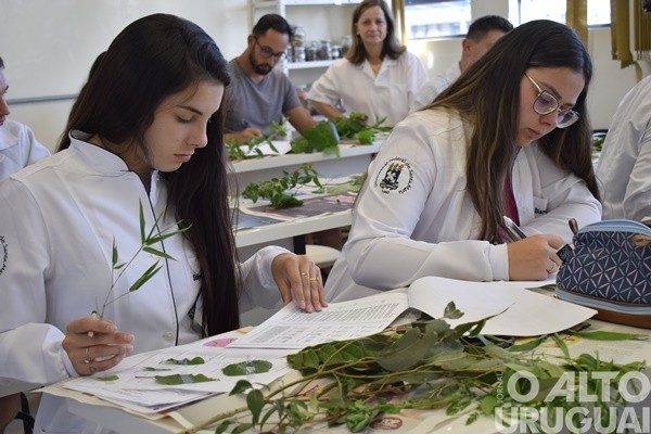 Inscrições para vestibular e PSS da UFSM terminam no dia 10