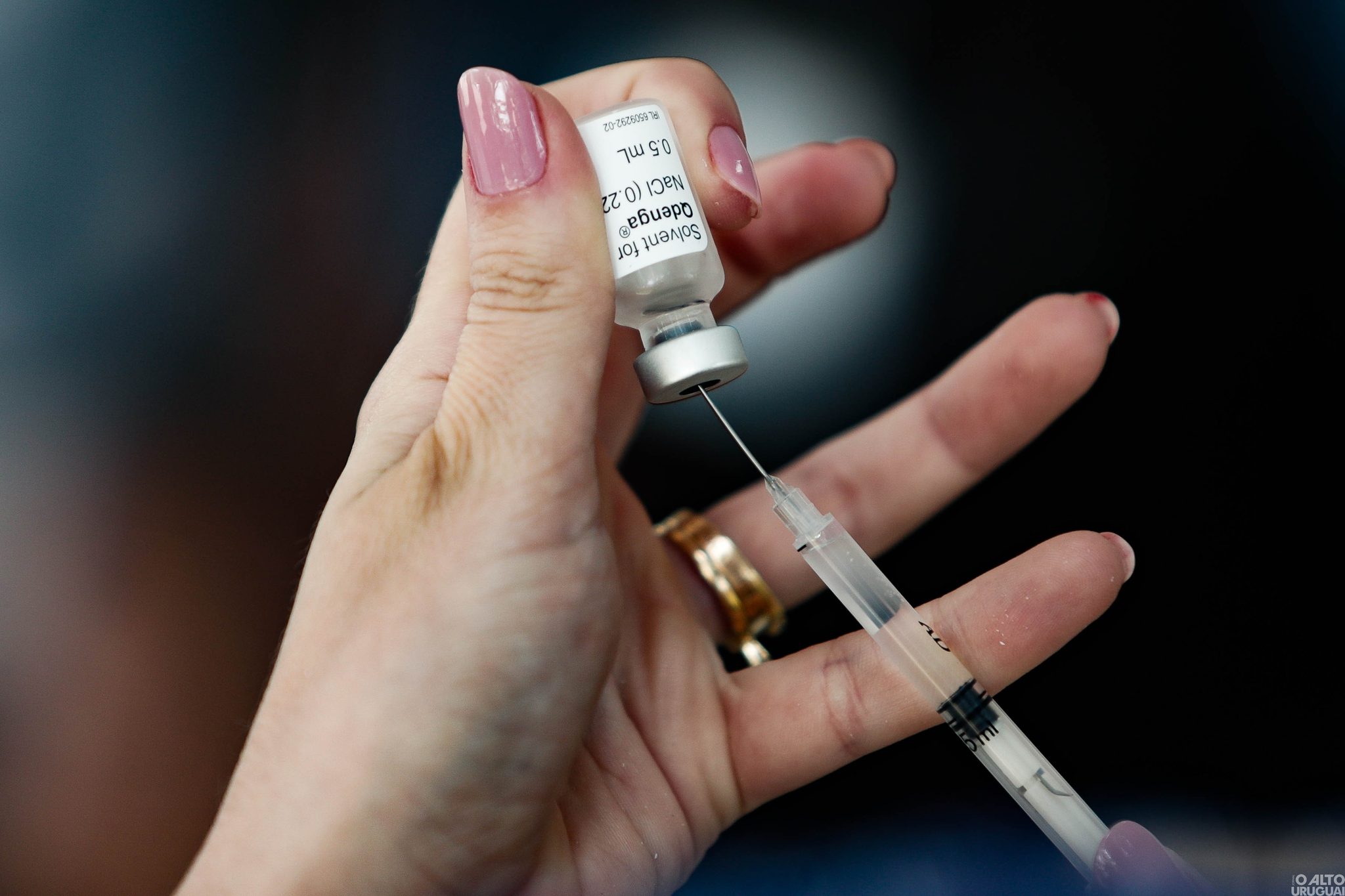 Vacina contra a dengue será enviada ao RS