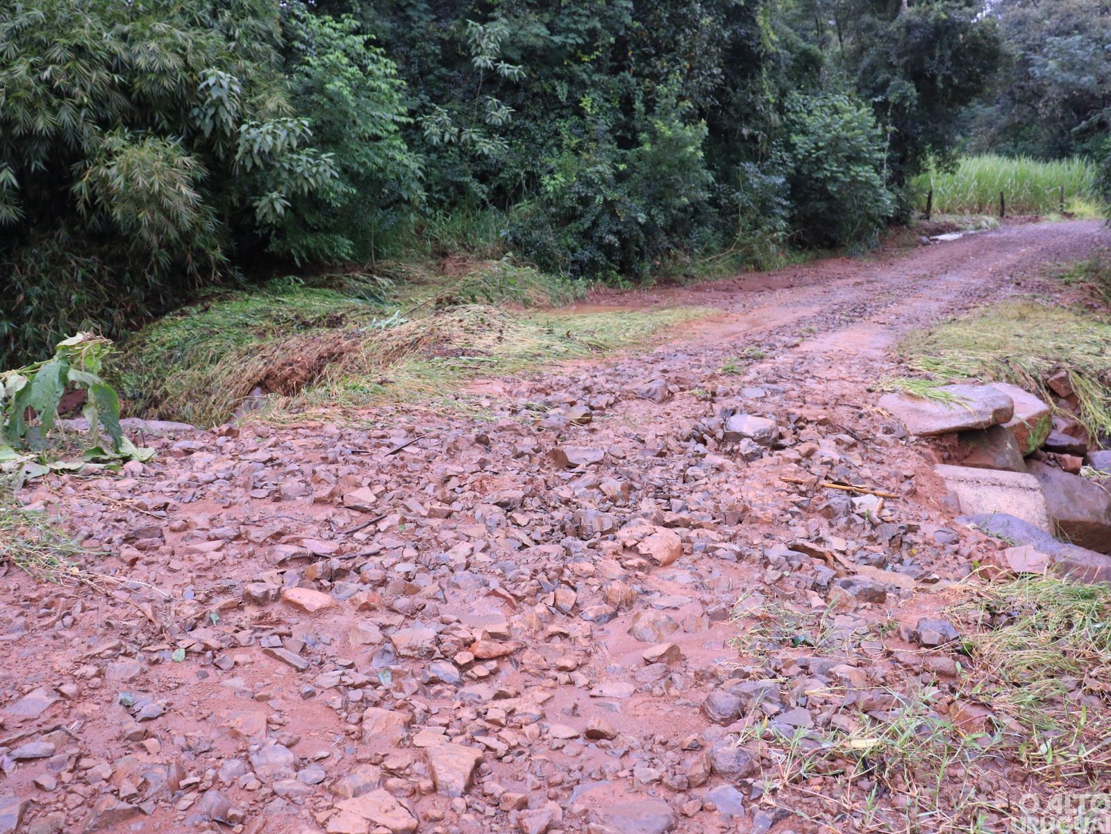 Fortes chuvas causam estragos em Novo Tiradentes