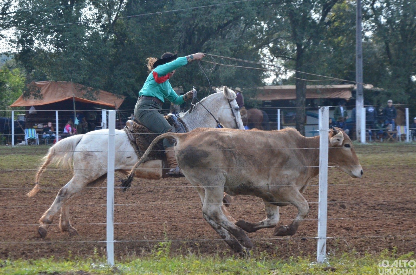 Rodeio Crioulo Beneficente acontece em Pinhal neste fim de semana