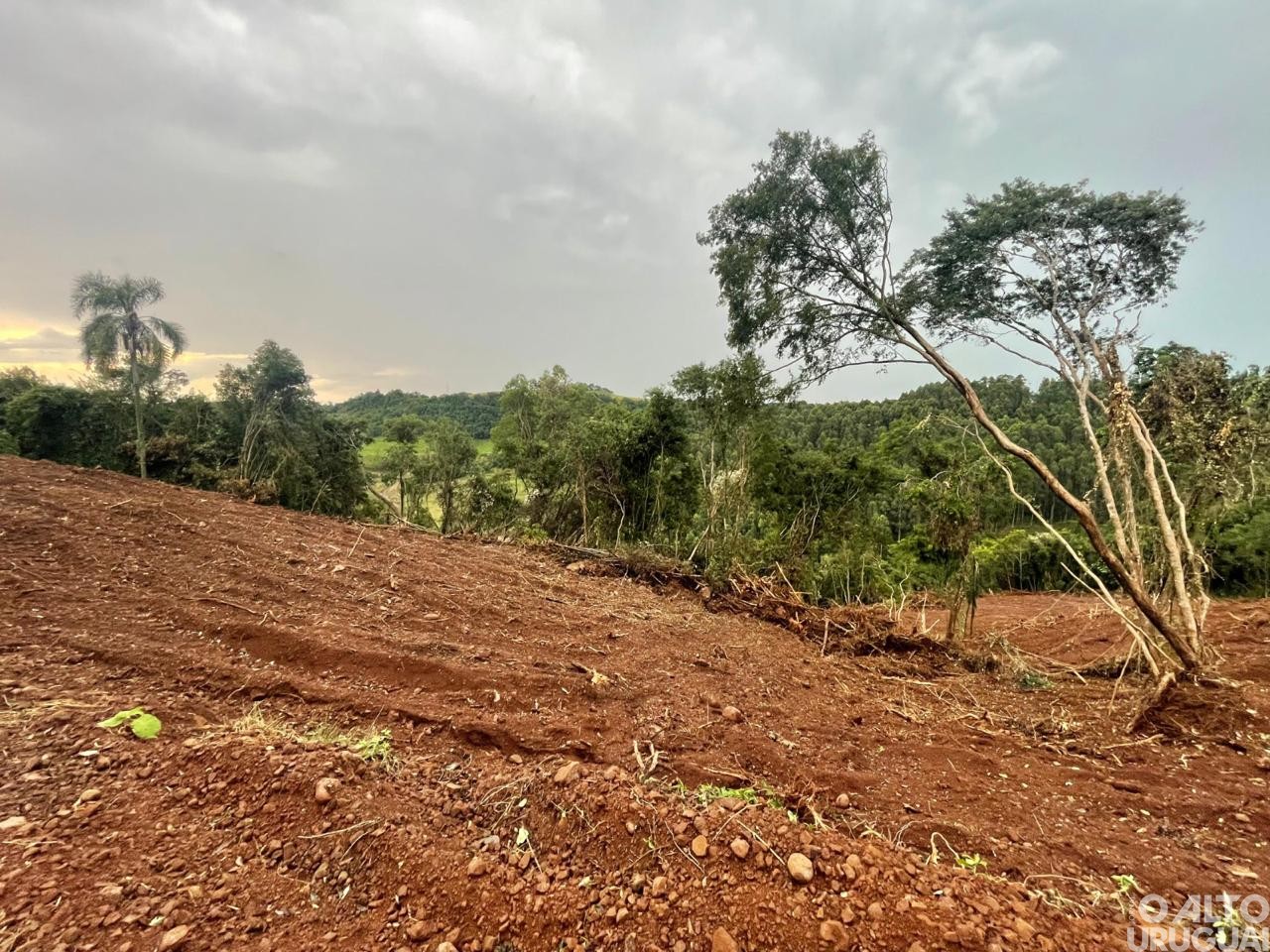 Batalhão Ambiental flagra desmatamento em Rodeio Bonito e Cristal do Sul