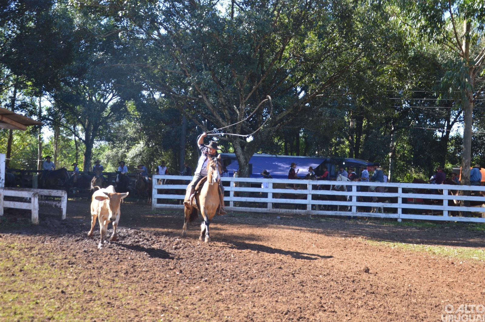Rodeio Crioulo de FW encerra neste domingo