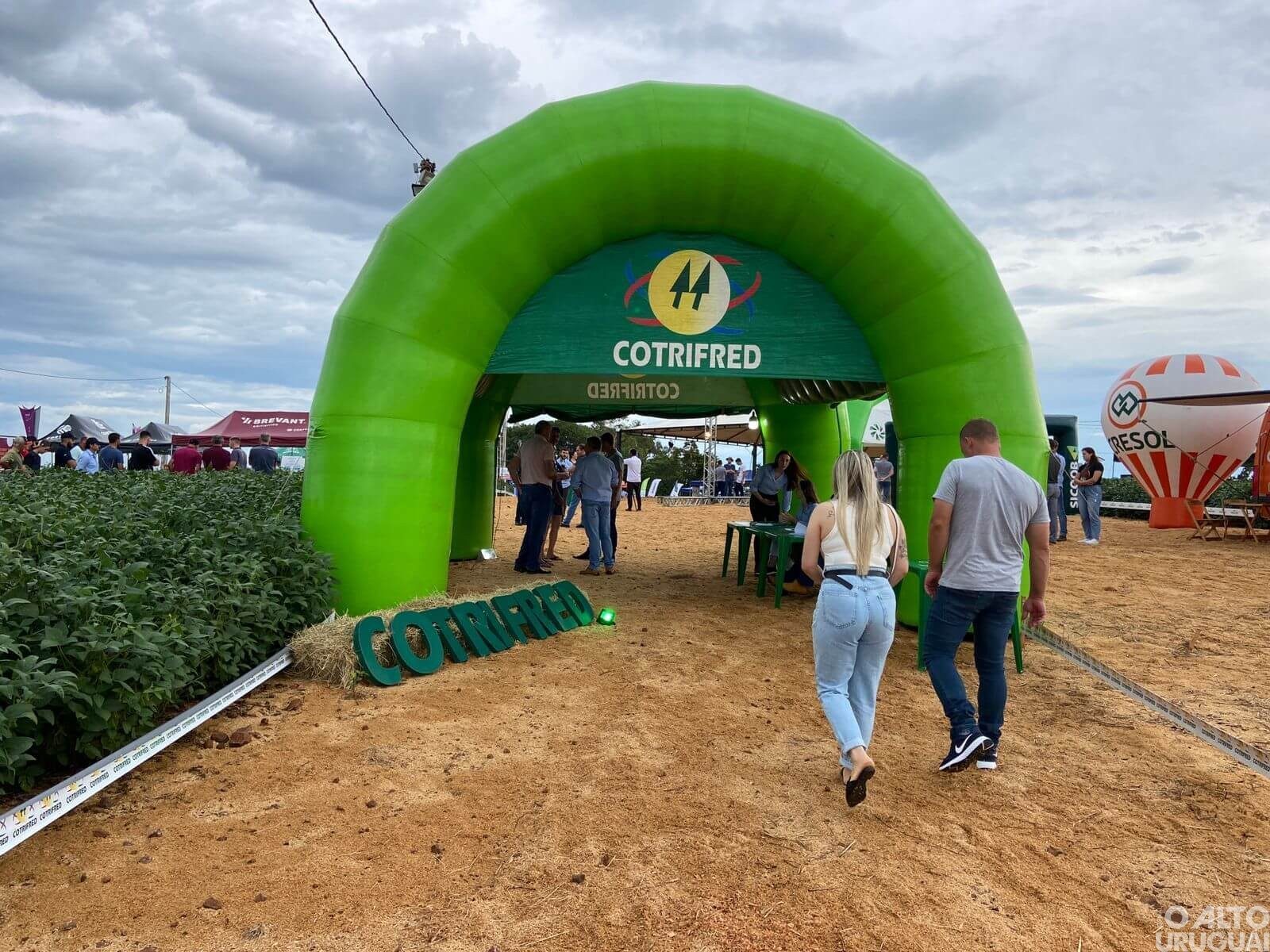 Cotrifred realiza Dia de Campo sobre o cultivo da soja