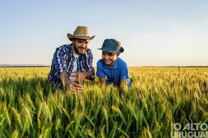 Aprendiz Cooperativo do Campo: programa incentiva a sucessão familiar para jovens produtores