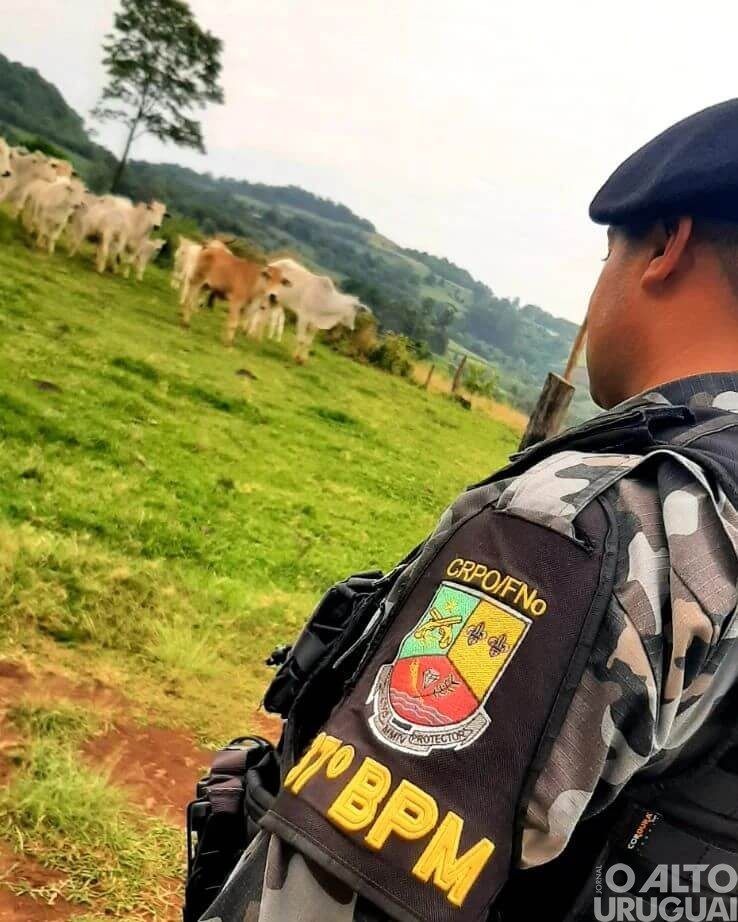 Indivíduo é preso por abigeato em Alpestre