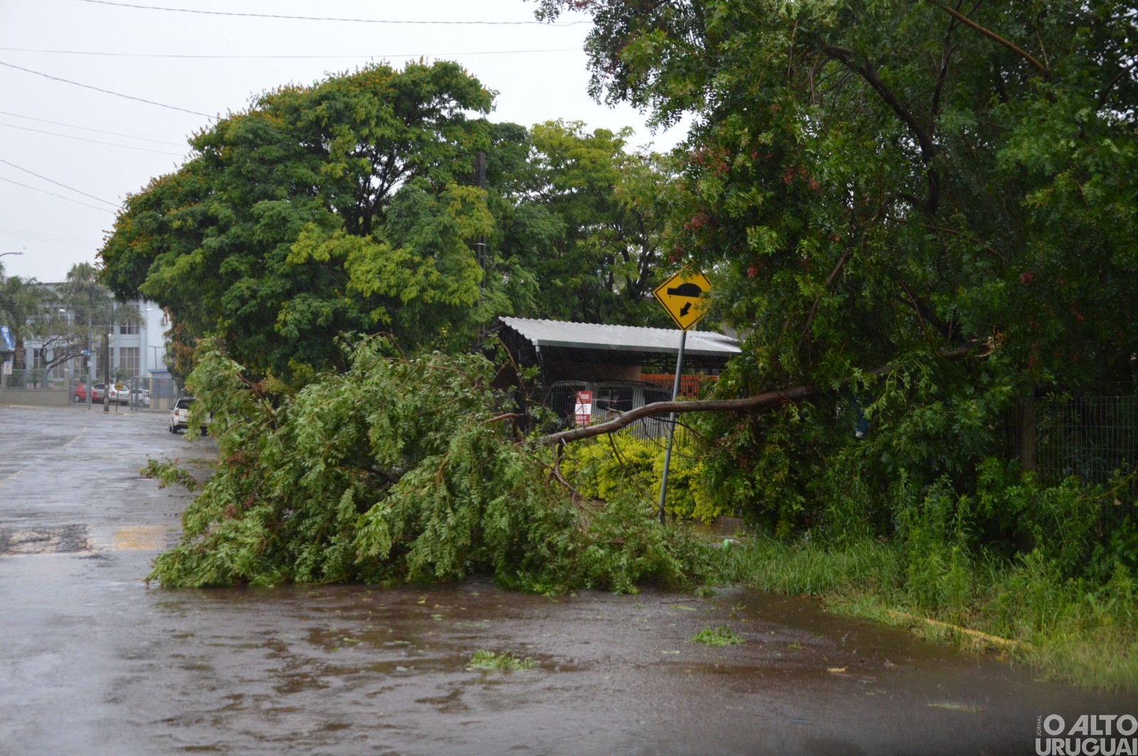 Forte temporal causa transtornos na região 