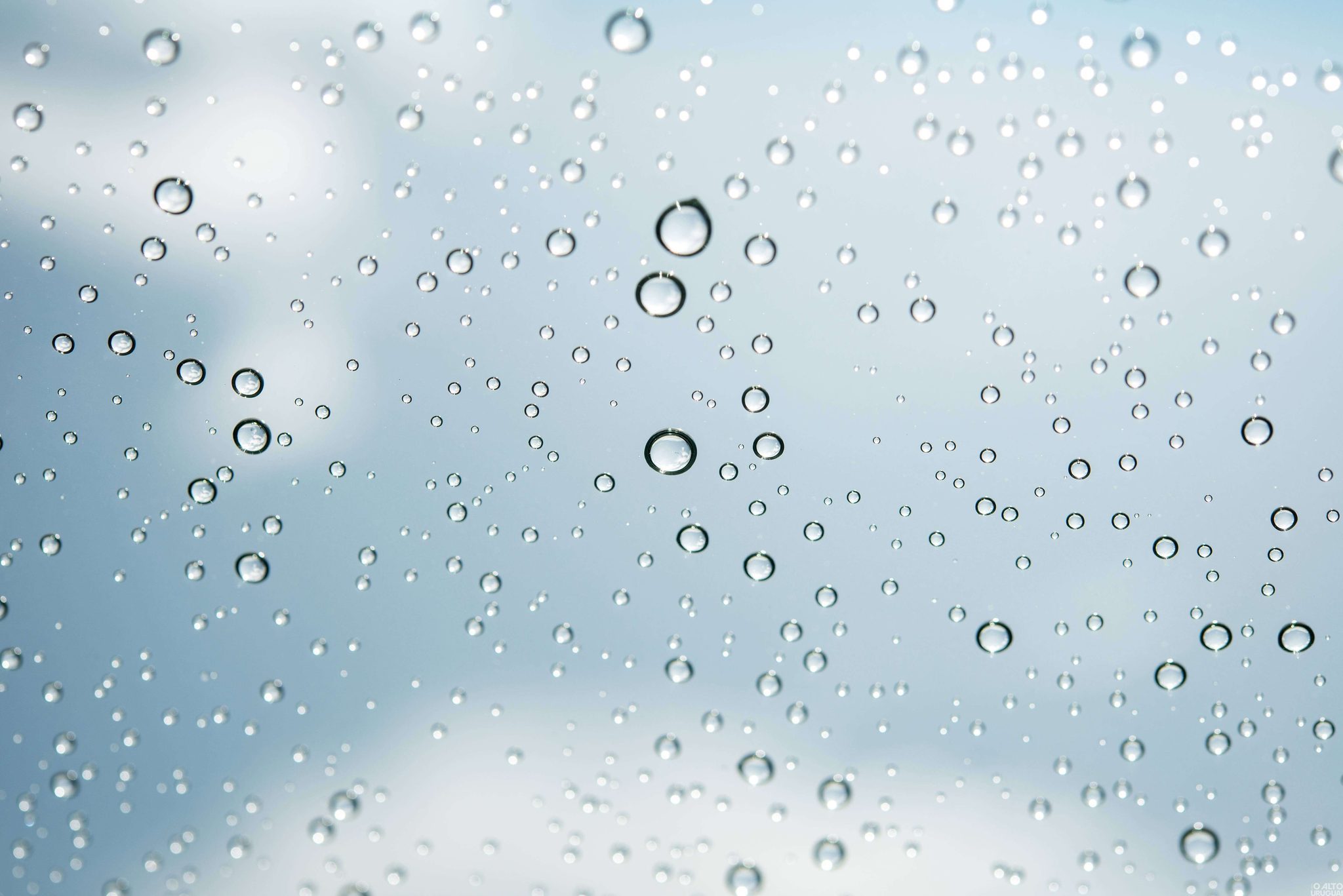 Semana deve ser de chuva em toda região
