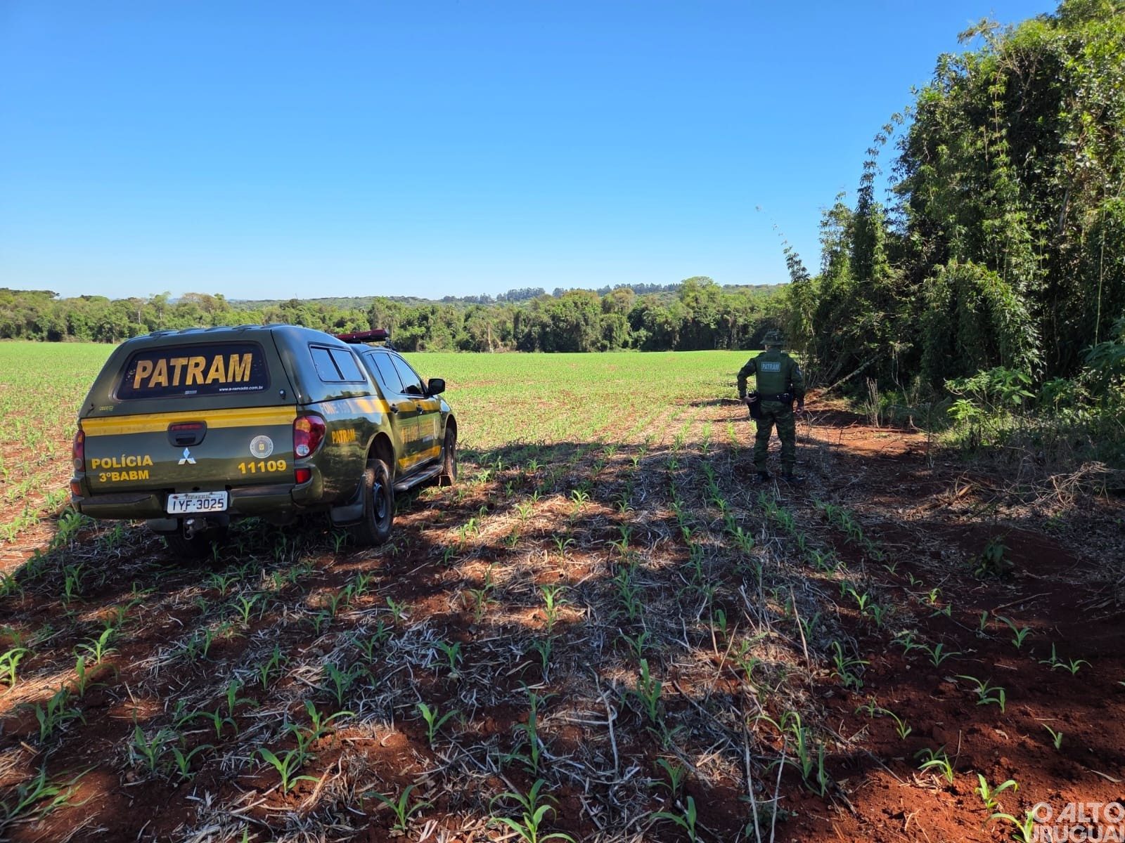 Brigada Militar constata crimes contra a flora em Erval Seco