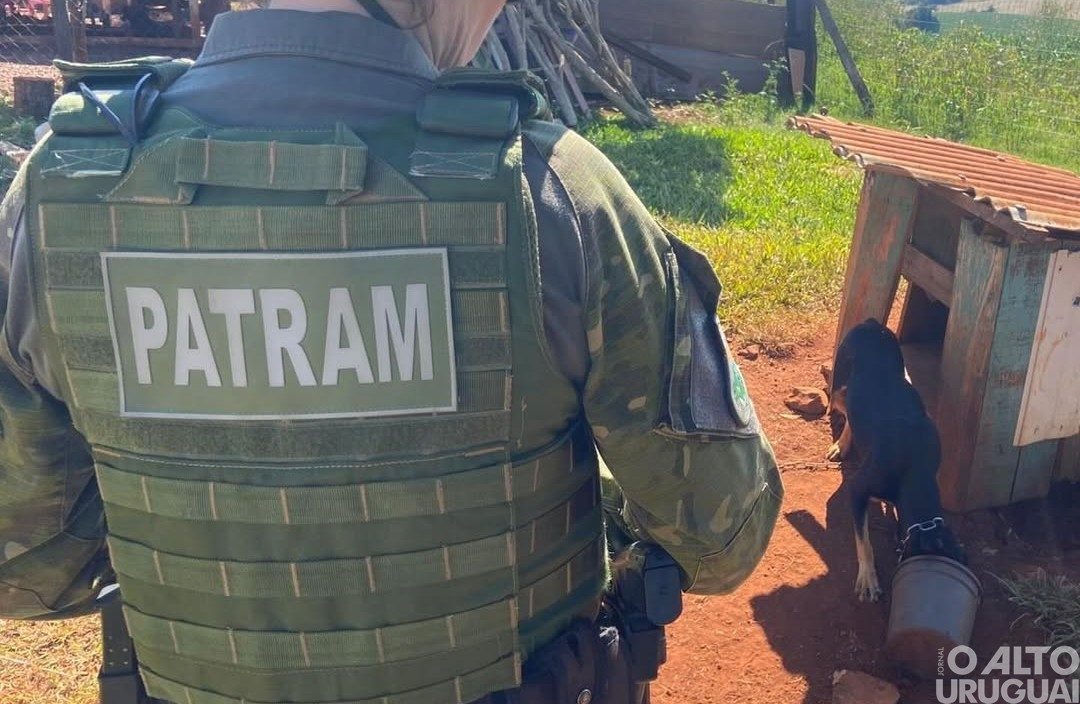 Homem é preso por maus-tratos a cães em Seberi