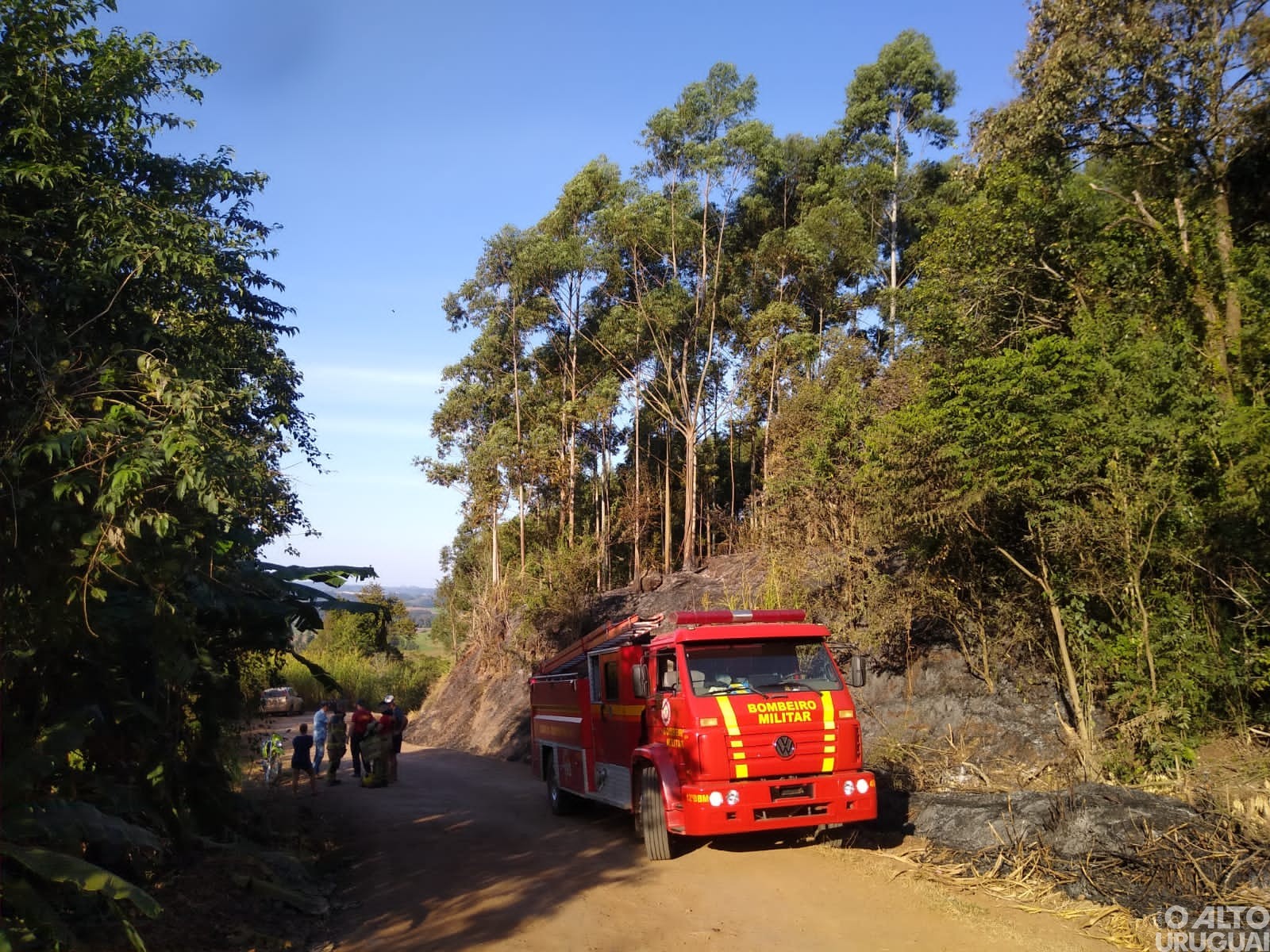 Bombeiros de FW são acionados para controlar incêndio em vegetação