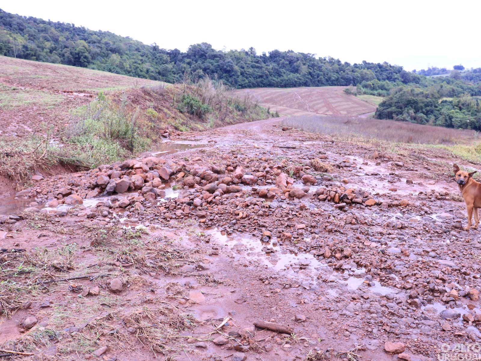 Fortes chuvas causam estragos em Novo Tiradentes