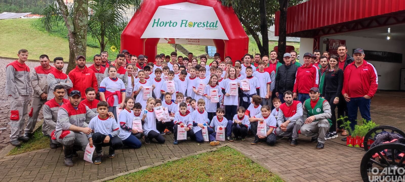 Creluz celebra o Dia do Cooperativismo com plantio de pinheiros no Horto Florestal