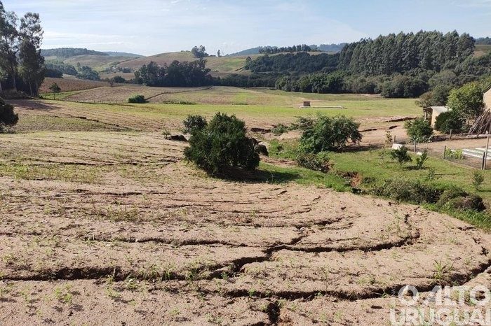 Mais de 206 mil propriedades rurais foram afetadas pelas enchentes no RS