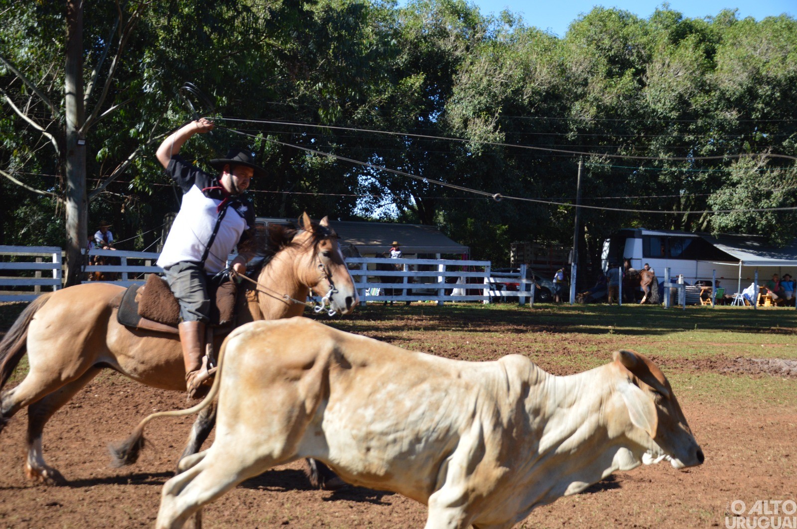 Rodeio Crioulo de FW encerra neste domingo