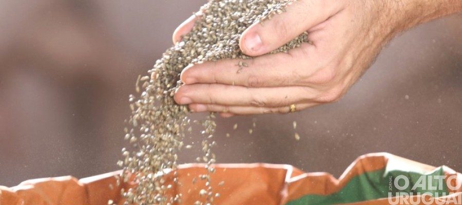 Rodeio Bonito: seguem inscrições para retirada de fertilizantes e sementes