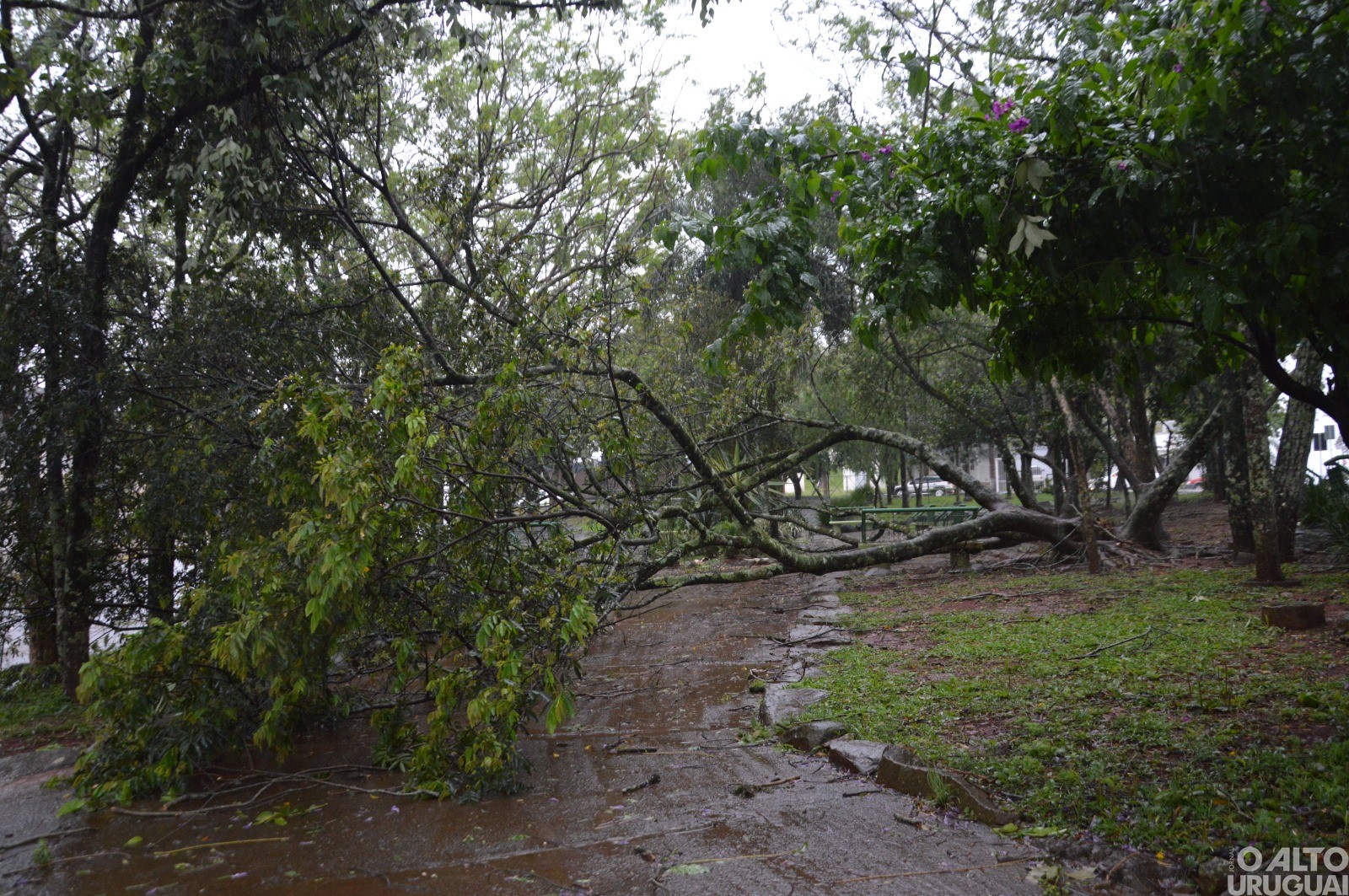 Forte temporal causa transtornos na região 
