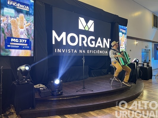 Morgan apresenta híbrido de milho superprecoce e de alta performance produtiva