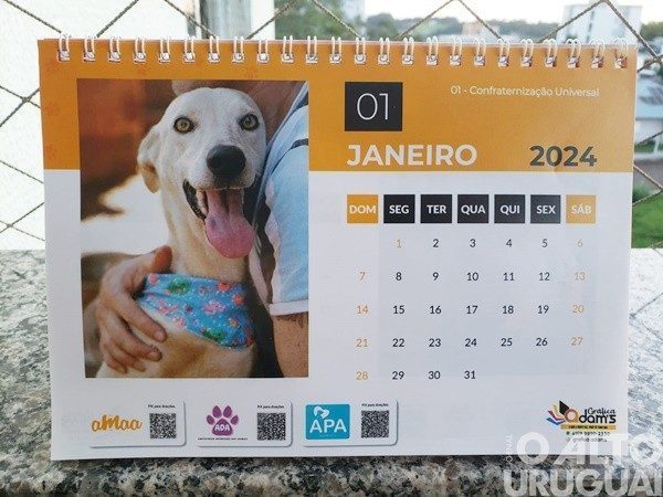 ONGs da região lançam campanha para a venda de calendários