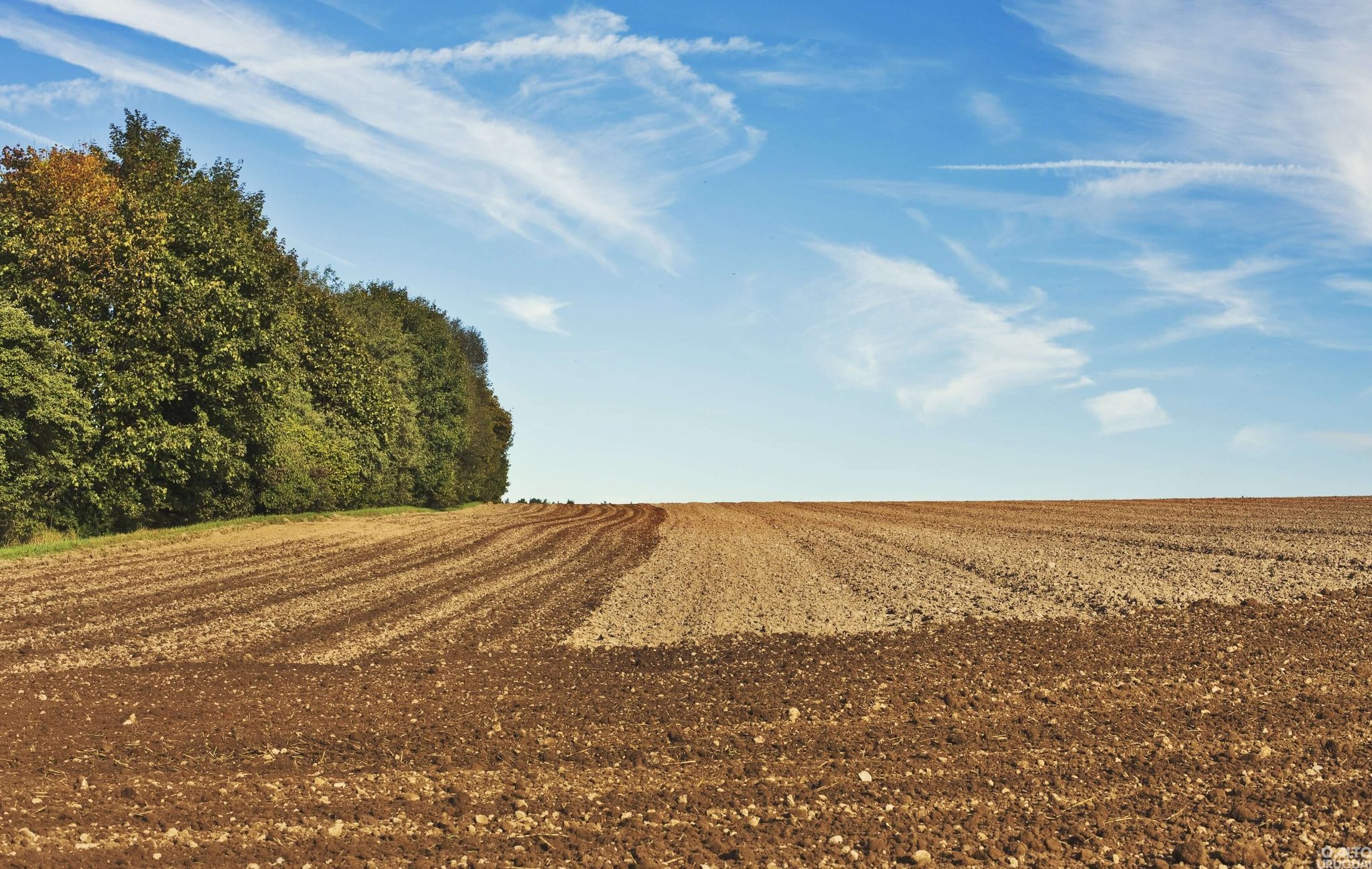 Projeto autoriza anistia de dívida de agricultores de FW