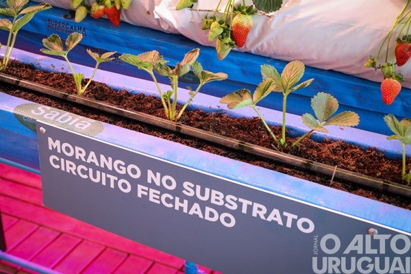 Profissional da região participa de estande do programa na Expointer