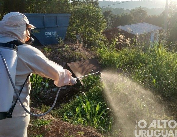 Região teve 18 óbitos por dengue em 2024