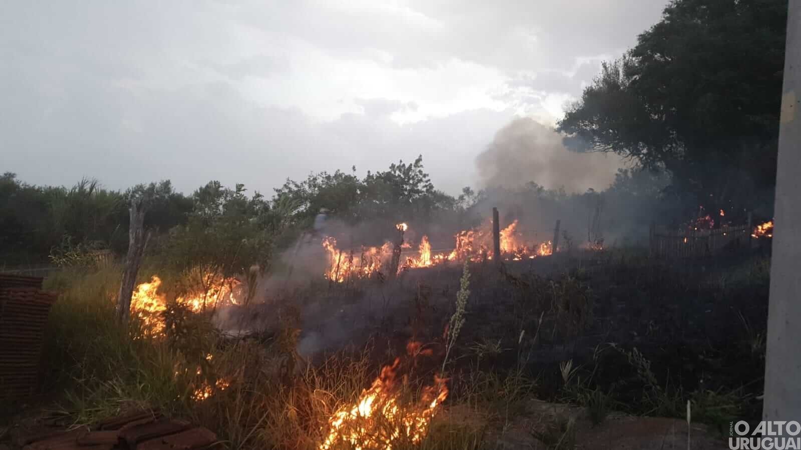 FW: Bombeiros e populares tentam controlar fogo em vegetação