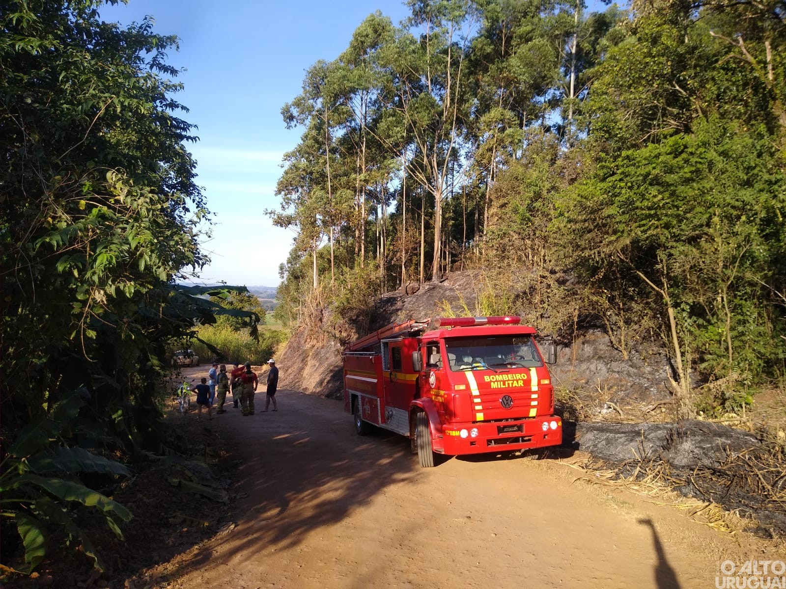 Bombeiros de FW são acionados para controlar incêndio em vegetação