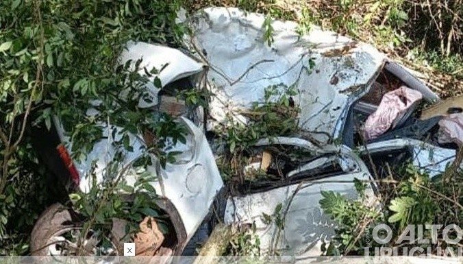 Médica veterinária morre em acidente