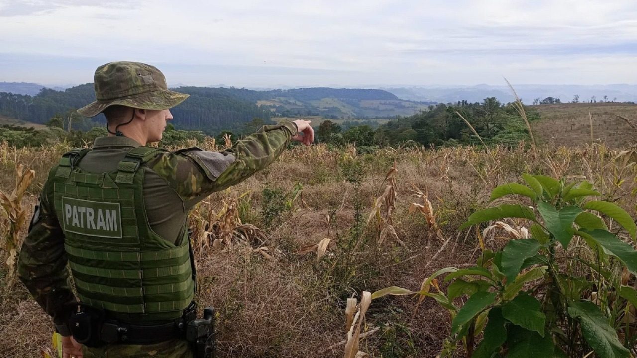 BM identifica 12,8 hectares de desmatamento em Alpestre