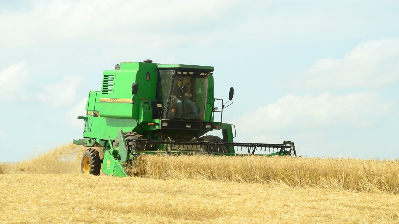 FW está entre os seis municípios com maior geração de riqueza do agronegócio gaúcho