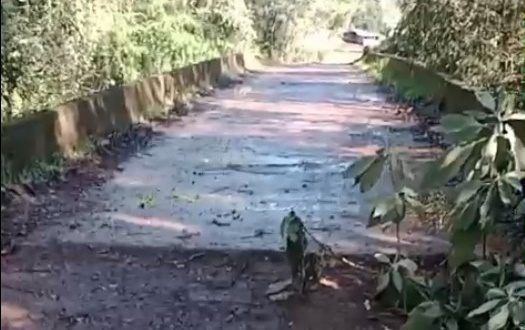 Ponte da Linha Pardinho é recuperada e trânsito entre FW e Vista Alegre é liberado