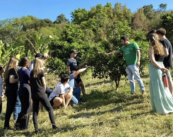 (Foto: Ilustrativa/ Correio do Povo)