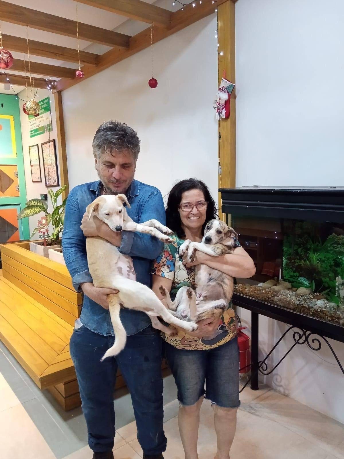 Créditos: Divulgação