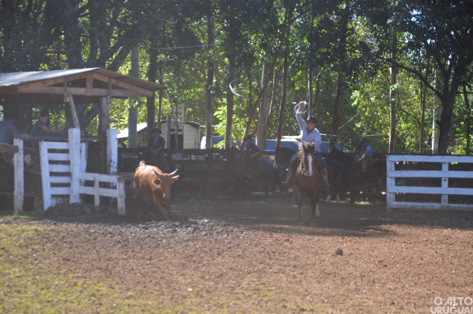 Rodeio Crioulo de FW encerra neste domingo