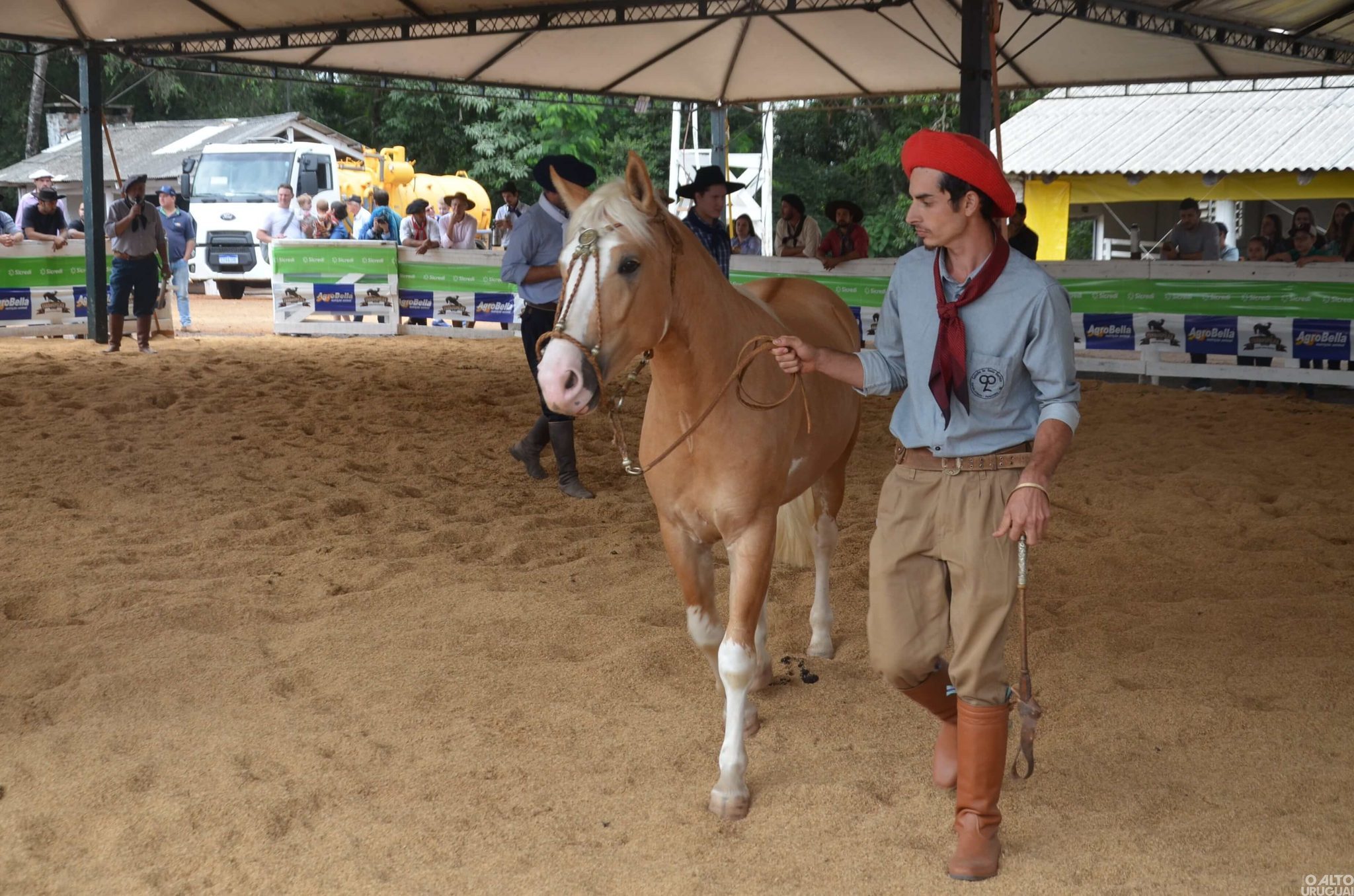 Premiação morfológica dos equinos acontece na Expofred