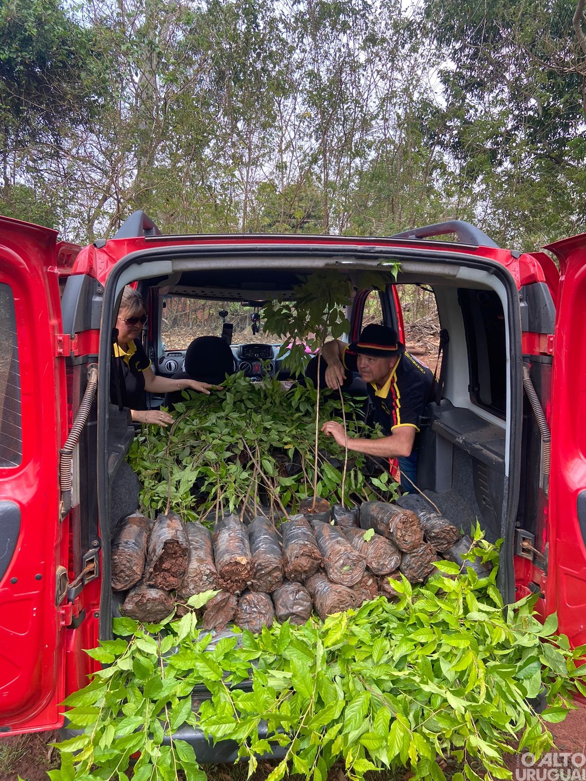 Centro Cultural 25 de Julho realiza projeto de arborização em FW