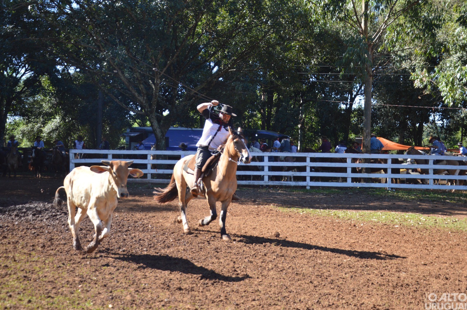 Rodeio Crioulo de FW encerra neste domingo