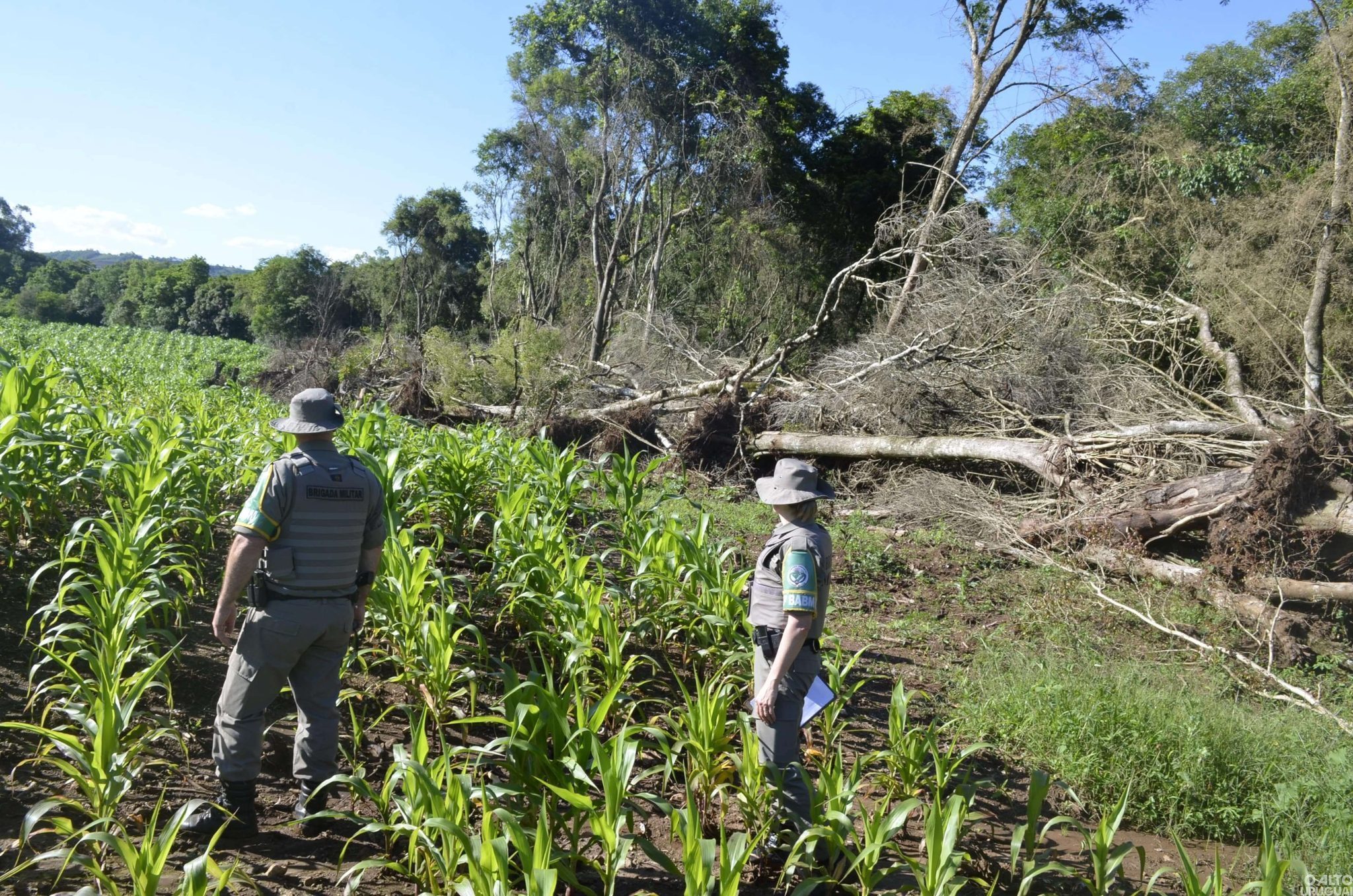 Mais de 13 hectares de terra foram desmatados na região