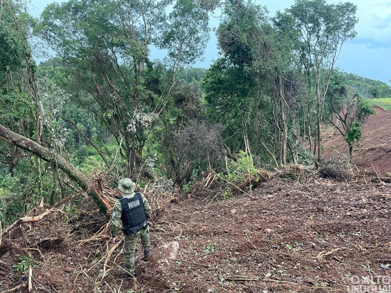 Batalhão Ambiental flagra desmatamento em Rodeio Bonito e Cristal do Sul