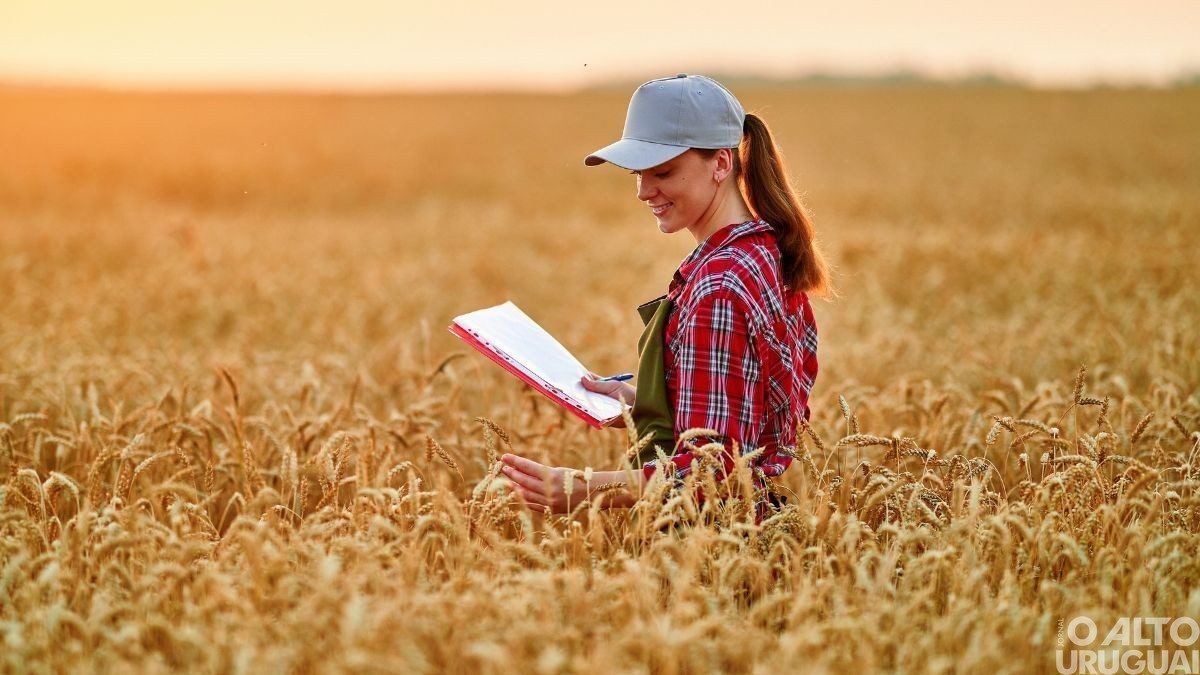 UFSM-PM abre vagas para doutorado em Agronegócios