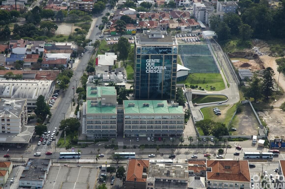 Sicredi está no Top 5 anual de projeções econômicas do Banco Central pelo quinto ano consecutivo